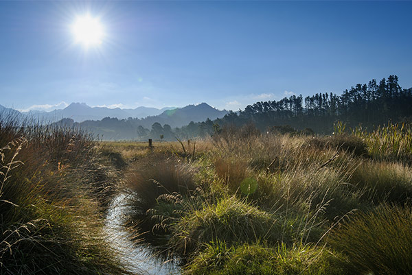 The Interwoven World Te Ao I Whiria: Towards an integrated landscape approach in Aotearoa New Zealand